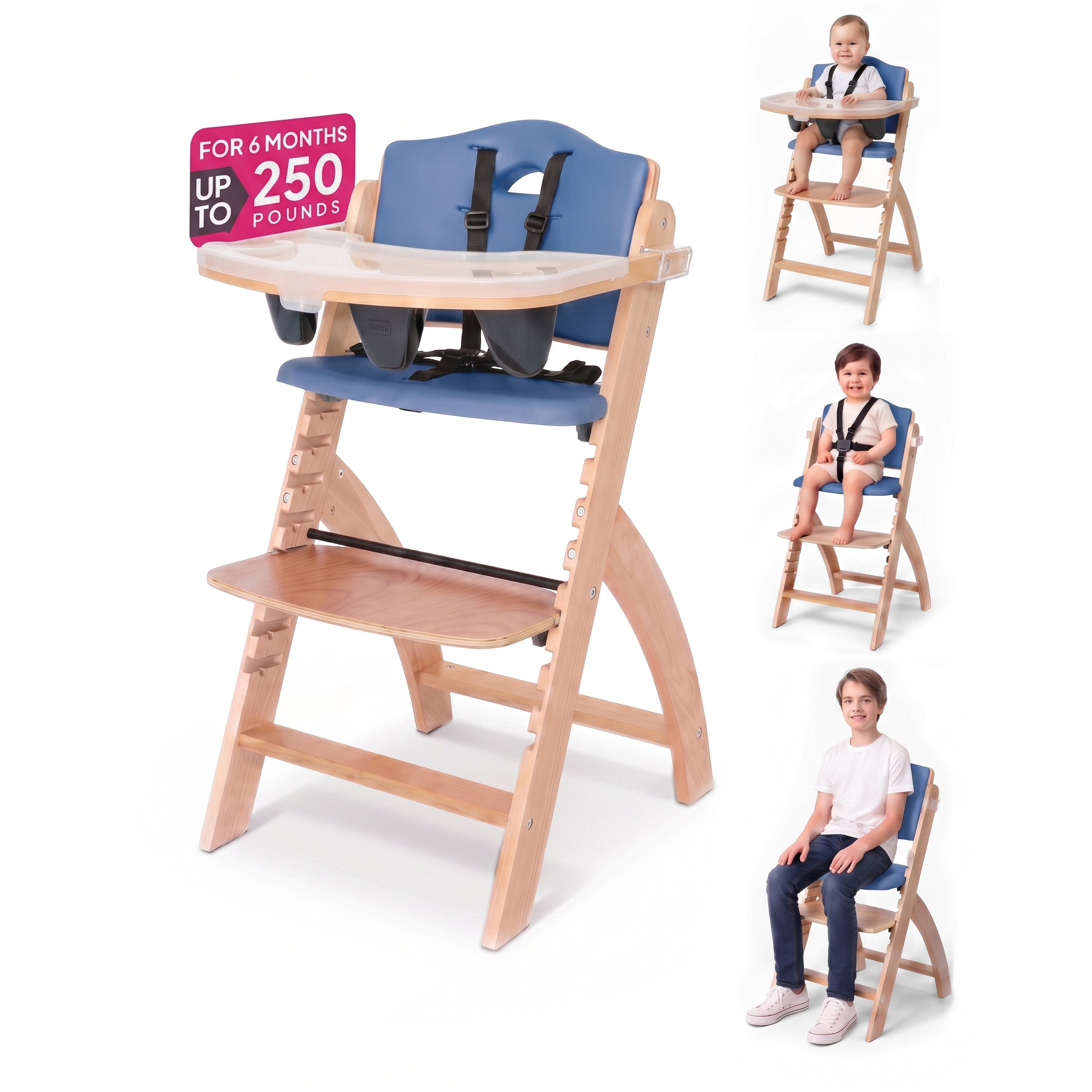 Beyond Junior® Y High Chair (2025)